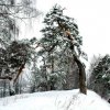 На городецком валу